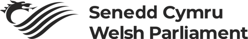 Senedd Cymru, Welsh Parliament